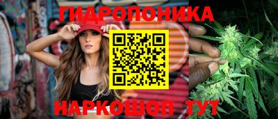 альфа пвп Берёзовский